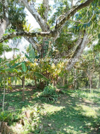 Imagem Imóvel com 3 Quartos à Venda, em Carobeira - Ilhéus Imagem Imóvel com 3 Quartos à Venda, em Carobeira - Ilhéus