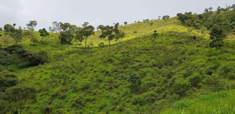 Imagem Chácara com 2 Quartos à Venda, 100 m² em Campos De Cunha - Silveiras