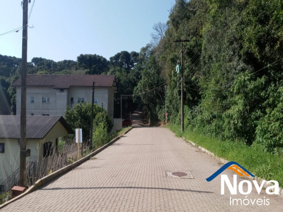 Imagem Imóvel à Venda, 360 m² em Logradouro - Nova Petrópolis Imagem Imóvel à Venda, 360 m² em Logradouro - Nova Petrópolis