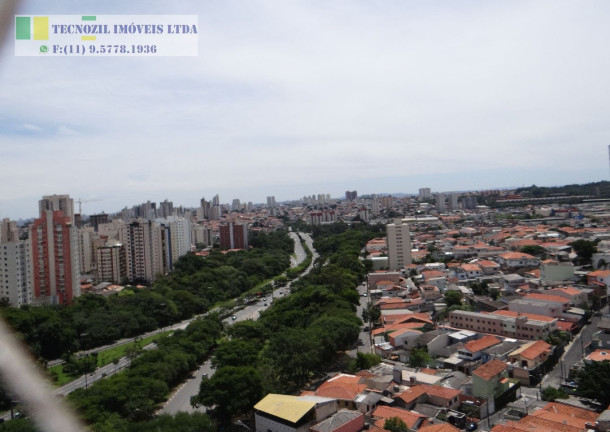 Imagem Apartamento com 3 Quartos à Venda, 72 m² em Vila Monte Alegre - São Paulo Imagem Apartamento com 3 Quartos à Venda, 72 m² em Vila Monte Alegre - São Paulo