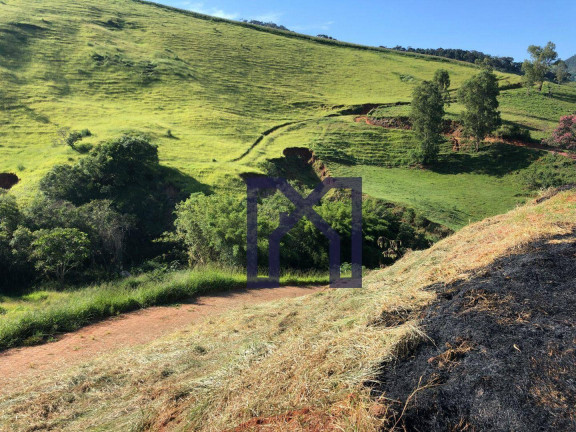 Imagem Fazenda à Venda, 390.000 m² em Wenceslau Braz - Wenceslau Braz