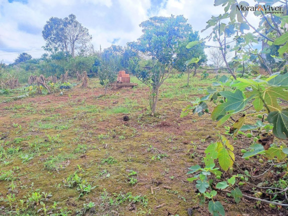 Imagem Chácara à Venda, 3.000 m² em Campestre Da Faxina - São José Dos Pinhais