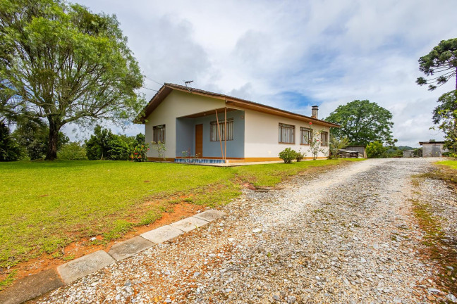 Imagem Imóvel com 4 Quartos à Venda, 11.216 m² em Vila Santa Terezinha - Campo Largo Imagem Imóvel com 4 Quartos à Venda, 11.216 m² em Vila Santa Terezinha - Campo Largo