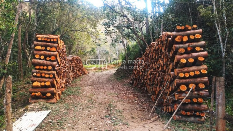 Imagem Imóvel à Venda, 1 m² em Bairro Da Tabuleta - Piquete Imagem Imóvel à Venda, 1 m² em Bairro Da Tabuleta - Piquete