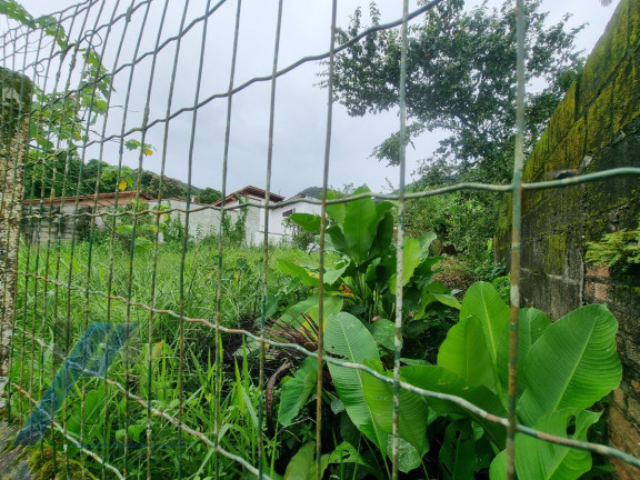 Imagem Terreno à Venda, 450 m² em Ressaca - Ubatuba Imagem Terreno à Venda, 450 m² em Ressaca - Ubatuba