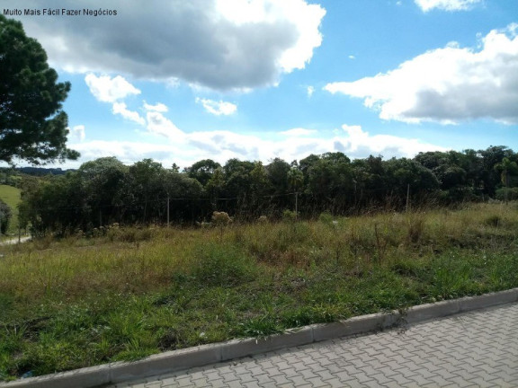 Imagem Terreno à Venda, 375 m² em Linha Imperial - Nova Petrópolis Imagem Terreno à Venda, 375 m² em Linha Imperial - Nova Petrópolis