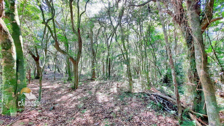 Imagem Fazenda à Venda, 12.000 m² em Morro Grande - Viamão Imagem Fazenda à Venda, 12.000 m² em Morro Grande - Viamão