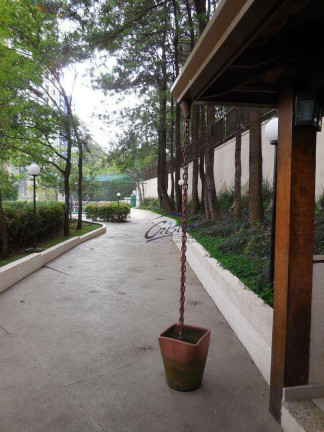 Imagem Apartamento com 3 Quartos à Venda, 96 m² em Vila Indiana - São Paulo