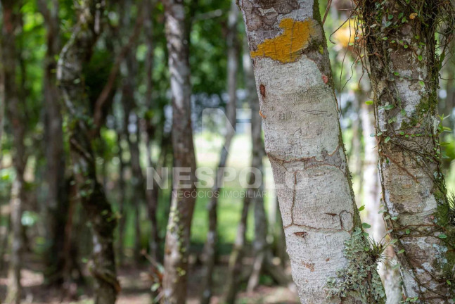 Imagem Terreno à Venda,  em Rio Do Meio - Camboriu