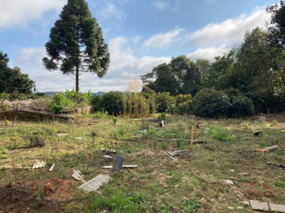 Imagem Terreno à Venda, 2.080 m² em Vila Santa Terezinha - Loteamento Vila Santo Onofre - Campo Largo