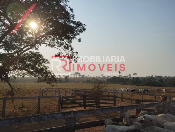Imagem Fazenda à Venda, 470 m² em Zona Rural - Paranaíta Imagem Fazenda à Venda, 470 m² em Zona Rural - Paranaíta