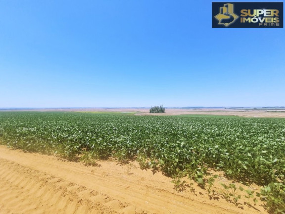 Imagem Imóvel com 3 Quartos à Venda, 21.000.000 m² em área Rural De Cachoeira Do Sul - Cachoeira Do Sul