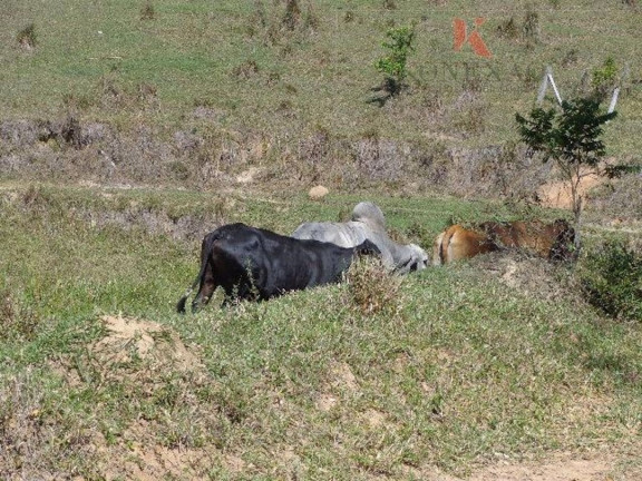 Imagem Fazenda à Venda, 100 m² em Jd Costão Do Paraíba - Santa Branca