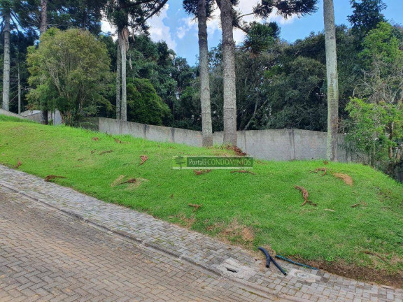Imagem Terreno à Venda, 607 m² em Campo Comprido - Curitiba