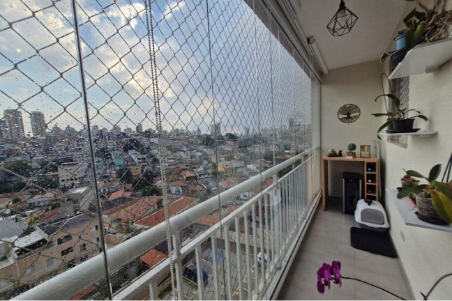 Imagem Apartamento com 2 Quartos à Venda, 51 m² em água Fria - São Paulo Imagem Apartamento com 2 Quartos à Venda, 51 m² em água Fria - São Paulo