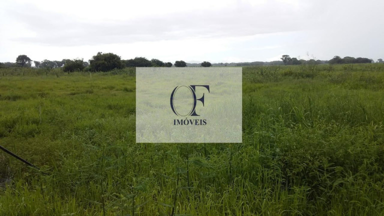 Imagem Fazenda à Venda, 24.000 m² em Pantanal - Corumbá