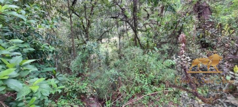 Imagem Terreno à Venda, 5.170 m² em Descansópolis - Campos Do Jordão Imagem Terreno à Venda, 5.170 m² em Descansópolis - Campos Do Jordão