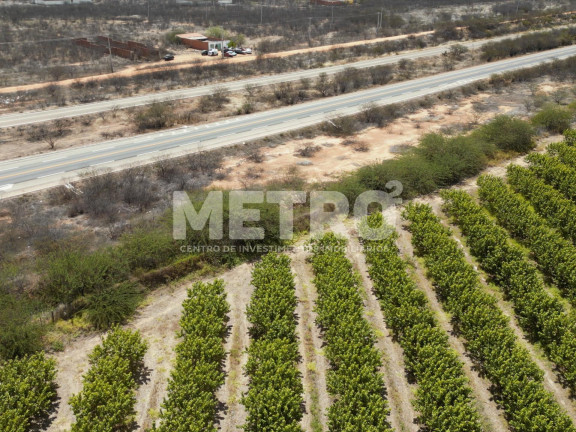 Imagem Fazenda à Venda, em área Rual - Petrolina Imagem Fazenda à Venda, em área Rual - Petrolina