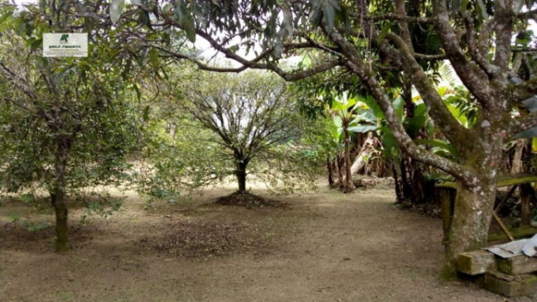 Imagem Chácara com 2 Quartos à Venda, 1.100 m² em São Roque Imagem Chácara com 2 Quartos à Venda, 1.100 m² em São Roque