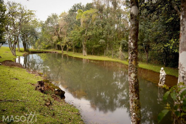 Imagem Chácara à Venda, 30.000 m² em Linha 28 - Gramado Imagem Chácara à Venda, 30.000 m² em Linha 28 - Gramado