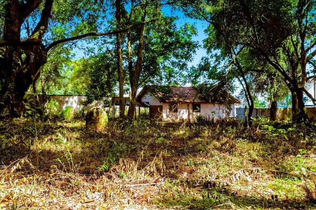 Imagem Terreno à Venda, 2.189 m² em Pinheirinho - Curitiba Imagem Terreno à Venda, 2.189 m² em Pinheirinho - Curitiba