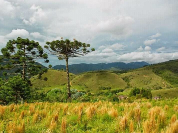 Imagem Chácara à Venda, 200.000 m² em Centro - Itamonte