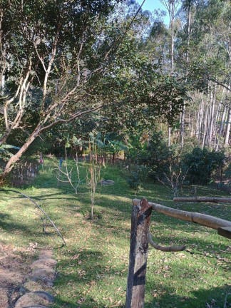 Imagem Chácara com 3 Quartos à Venda, 300 m² em Varjao - Paraibuna