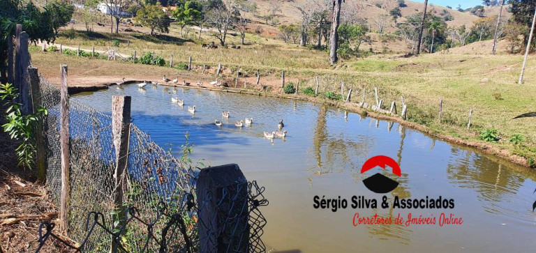 Imagem Chácara com 2 Quartos à Venda, 10 m² em Campos Do Jordão Imagem Chácara com 2 Quartos à Venda, 10 m² em Campos Do Jordão