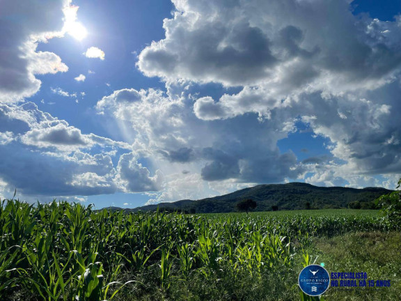 Imagem Fazenda à Venda, 40 m² em Zona Rural - Itaberaí Imagem Fazenda à Venda, 40 m² em Zona Rural - Itaberaí
