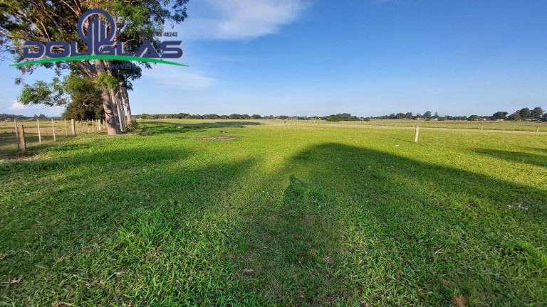 Imagem Chácara com 3 Quartos à Venda, 20.000 m² em águas Claras - Viamão