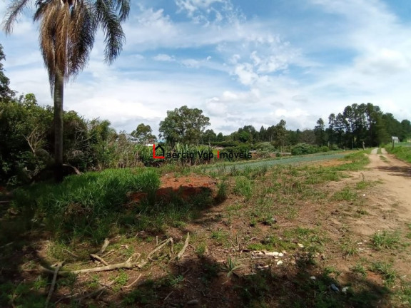 Imagem Imóvel com 2 Quartos à Venda, 133.100 m² em Ibiúna - Ibiúna Imagem Imóvel com 2 Quartos à Venda, 133.100 m² em Ibiúna - Ibiúna