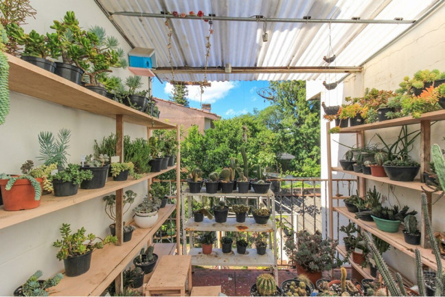 Imagem Casa com 5 Quartos à Venda, 254 m² em Três Figueiras - Porto Alegre Imagem Casa com 5 Quartos à Venda, 254 m² em Três Figueiras - Porto Alegre