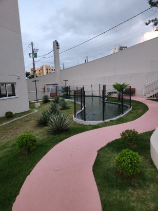 Imagem Apartamento com 2 Quartos à Venda, 56 m² em Jardim Califórnia - Jacareí