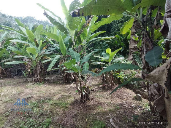 Imagem Fazenda à Venda, 2.123 m² em Centro - Antônio Carlos Imagem Fazenda à Venda, 2.123 m² em Centro - Antônio Carlos