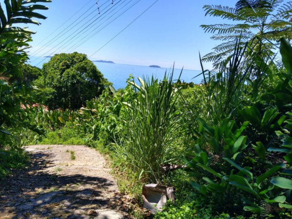 Imagem Terreno à Venda, 237 m² em Felix - Ubatuba Imagem Terreno à Venda, 237 m² em Felix - Ubatuba