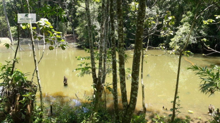Imagem Terreno à Venda, 1.700 m² em Alto Da Serra - São Roque Imagem Terreno à Venda, 1.700 m² em Alto Da Serra - São Roque