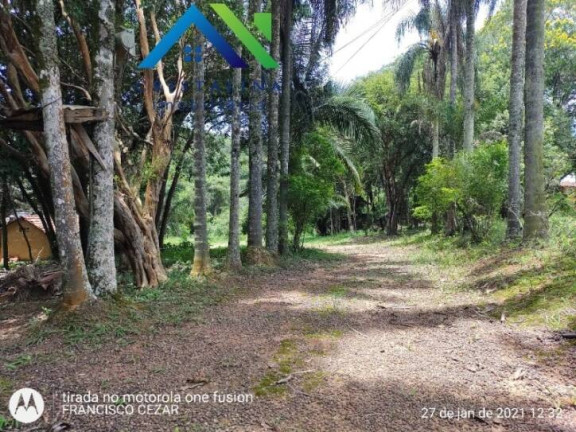 Imagem Terreno à Venda, 5.025 m² em Maracana - Jarinu