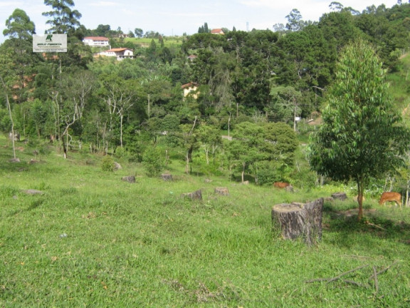 Imagem Chácara à Venda, 11.280 m² em Alto Da Serra - São Roque