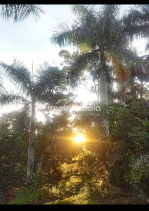 Imagem Chácara com 5 Quartos à Venda, 2.800 m² em Vale Do Rio Cachoeira - Piracaia