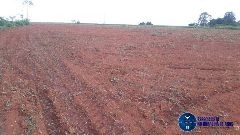 Imagem Chácara à Venda, 1 m² em Zona Rural - Itaberaí Imagem Chácara à Venda, 1 m² em Zona Rural - Itaberaí