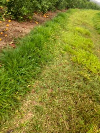 Imagem Chácara à Venda, 14 m² em Rural - águas De Santa Bárbara