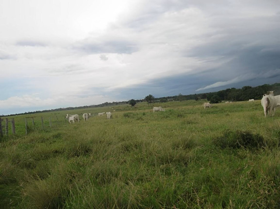 Imagem Fazenda à Venda, 2.541 m² em Centro - Pontes E Lacerda Imagem Fazenda à Venda, 2.541 m² em Centro - Pontes E Lacerda