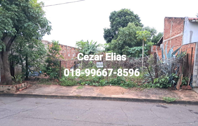 Imagem Terreno à Venda, 275 m² em Andradina Imagem Terreno à Venda, 275 m² em Andradina