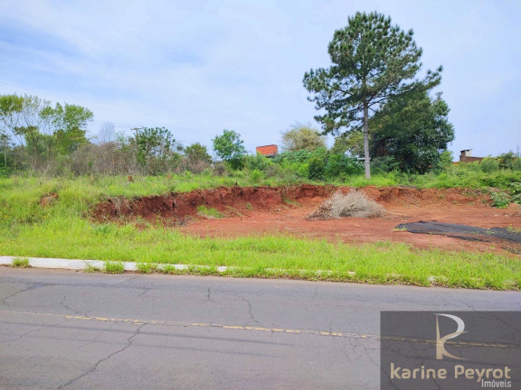 Imagem Terreno à Venda, 785 m² em Campestre - São Leopoldo