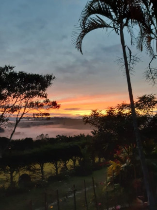 Imagem Chácara com 1 Quarto à Venda, 100 m² em Espírito Santo - Paraibuna Imagem Chácara com 1 Quarto à Venda, 100 m² em Espírito Santo - Paraibuna