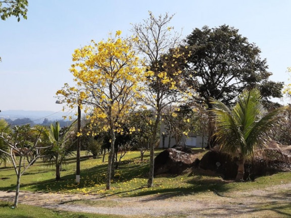 Imagem Imóvel com 3 Quartos à Venda, 10.000 m² em Sítio Da Moenda - Itatiba