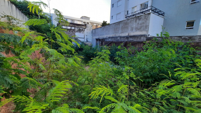 Imagem Terreno à Venda, 378 m² em Gutierrez - Belo Horizonte Imagem Terreno à Venda, 378 m² em Gutierrez - Belo Horizonte