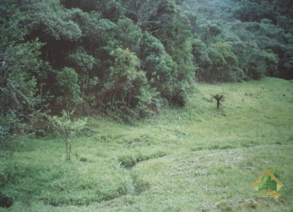 Imagem Terreno à Venda, 4.695 m² em Campos De Cunha - Cunha Imagem Terreno à Venda, 4.695 m² em Campos De Cunha - Cunha