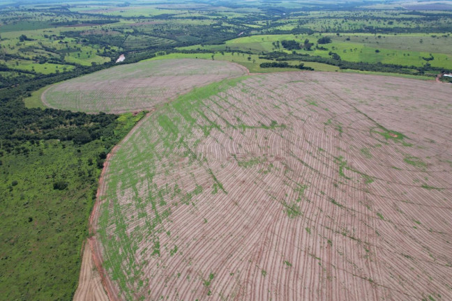 Imagem Fazenda à Venda, 74 m² em Zona Rural - Prata Imagem Fazenda à Venda, 74 m² em Zona Rural - Prata
