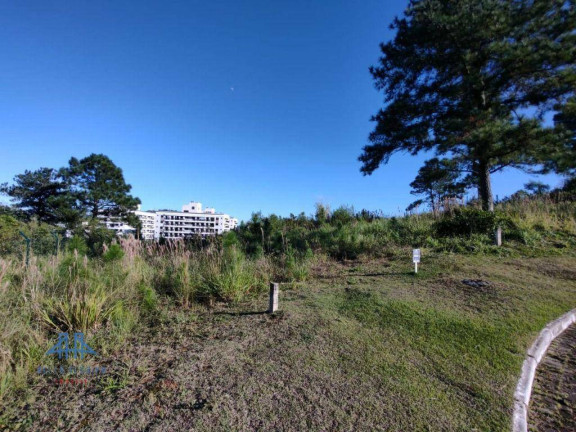 Imagem Terreno à Venda, 450 m² em Itacorubi - Florianópolis Imagem Terreno à Venda, 450 m² em Itacorubi - Florianópolis